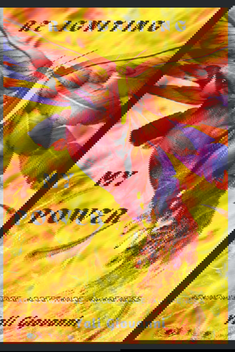 Re-Igniting My Power poster