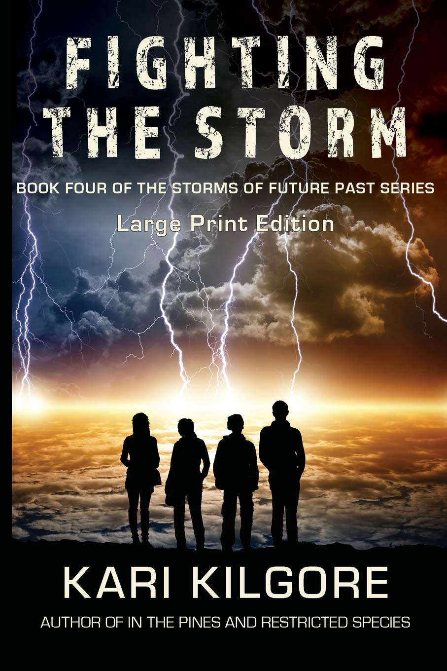Fighting the Storm (Storms of Future Past) poster