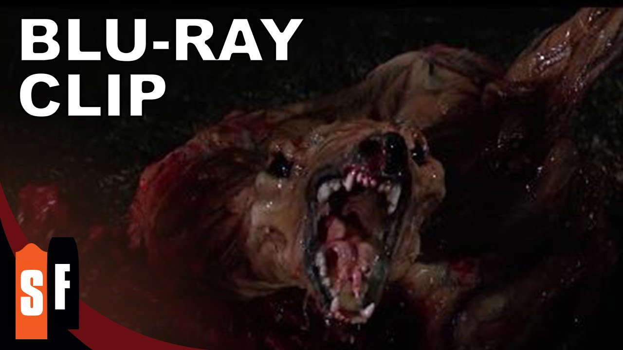 Kill It!