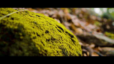 Hollow Short Film (test footage teaser) poster