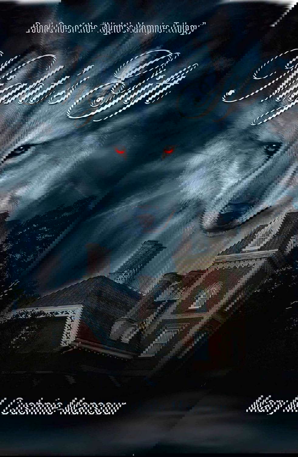 Night's Gift: Book One of the Night's Vampire Series poster