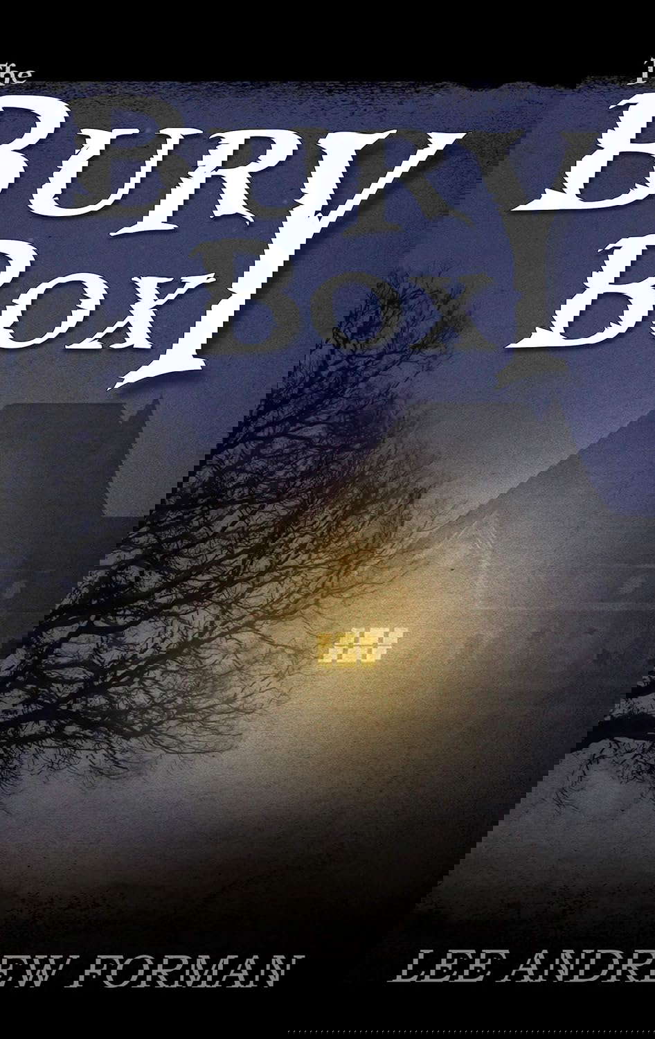 The Bury Box poster