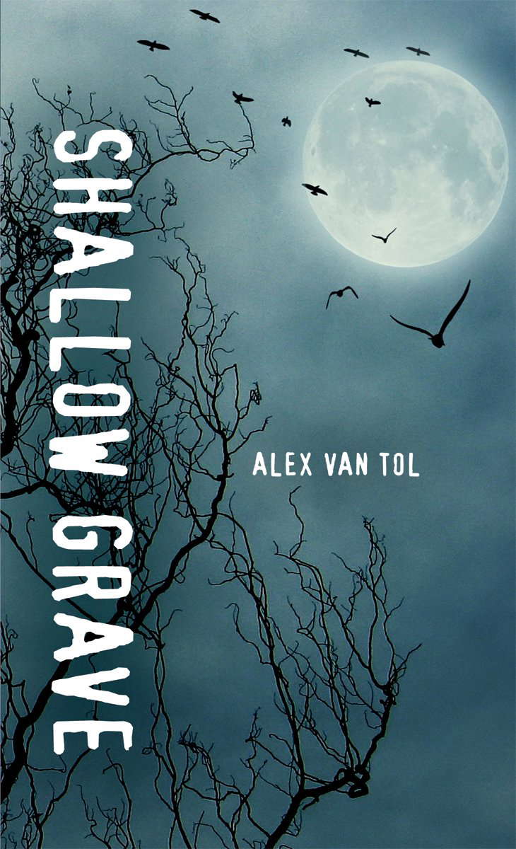 Shallow Grave (Orca Soundings) poster