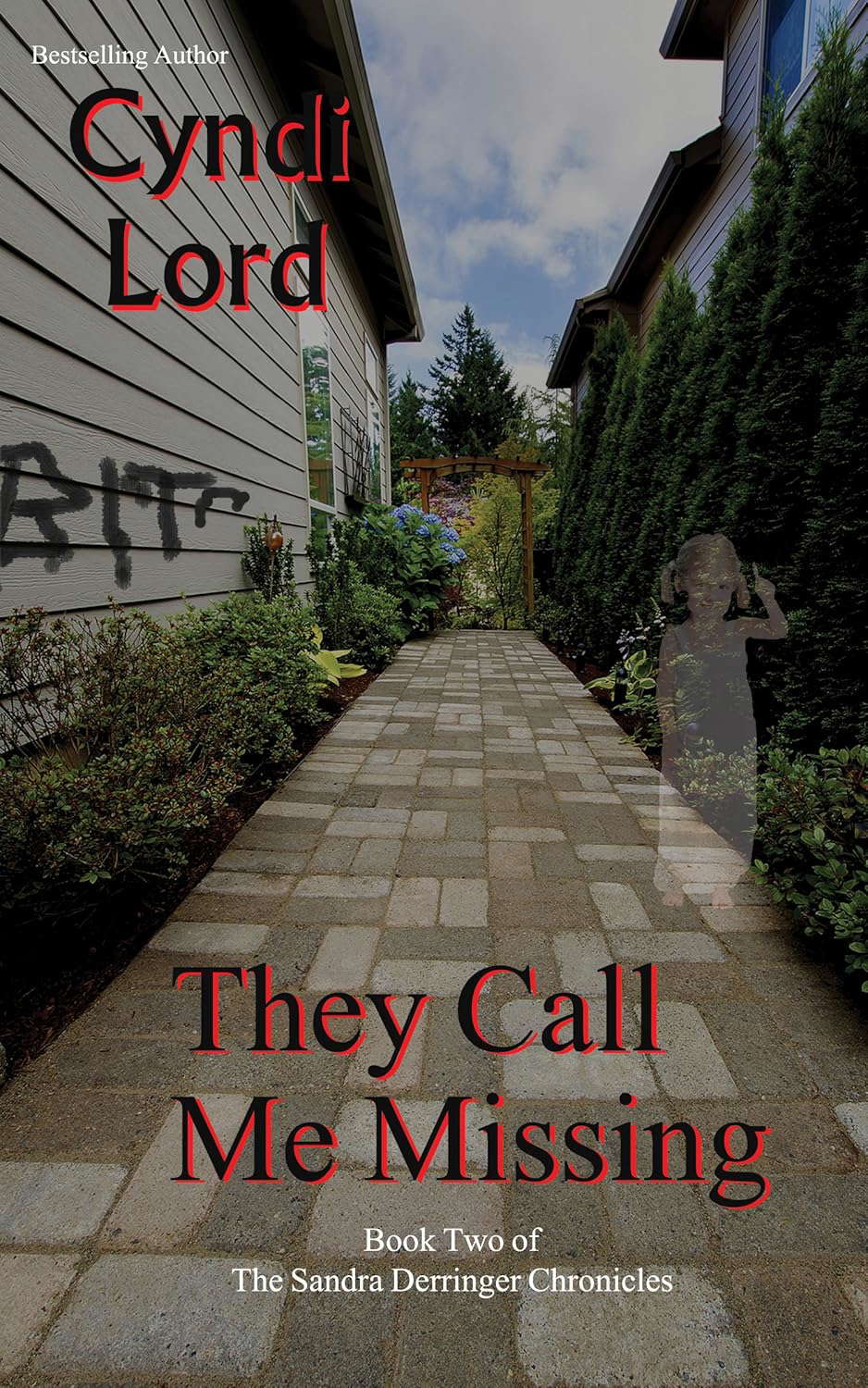 They Call Me Missing (Sandra Derringer Chronicles Book 2) poster