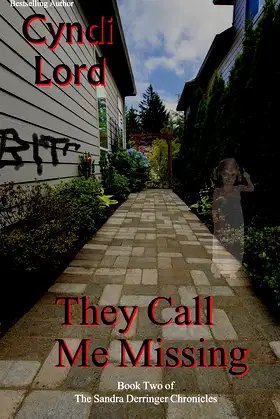 They Call Me Missing (Sandra Derringer Chronicles Book 2) poster