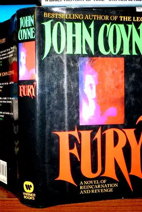 Fury poster