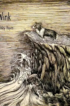 Wink poster