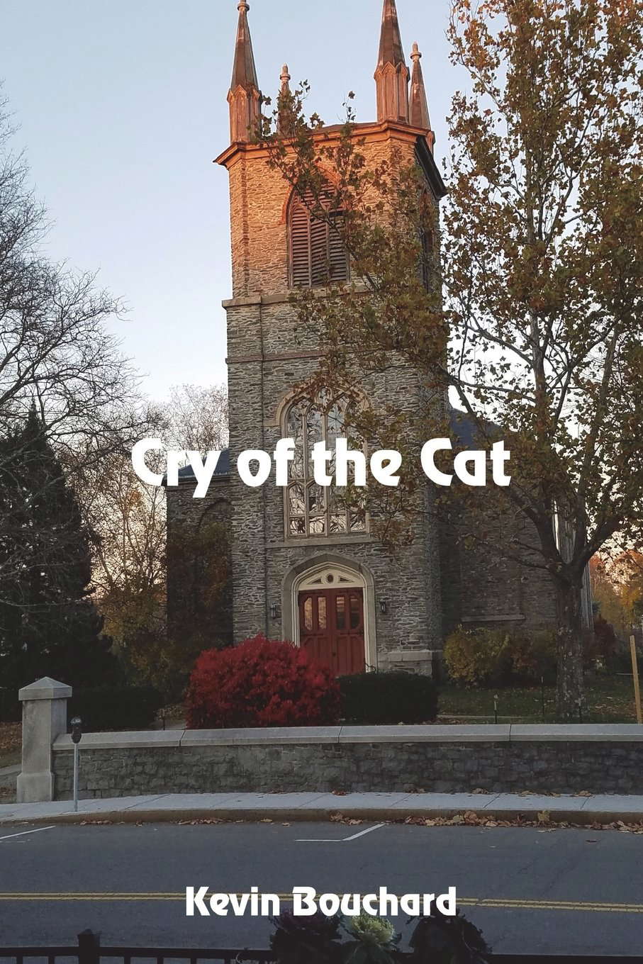 Cry of the Cat poster