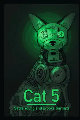 Cat 5 poster