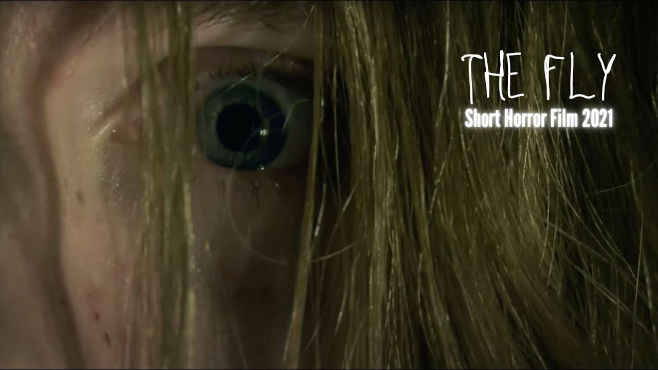 The Fly | Short Horror Film