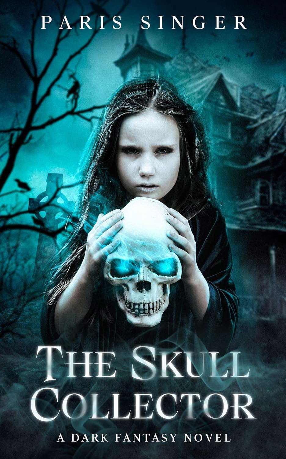 The Skull Collector: A Dark Fantasy Novel poster