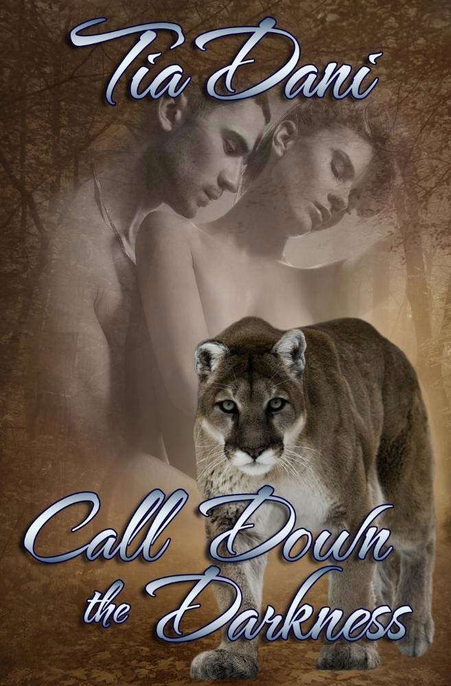 Call Down the Darkness poster