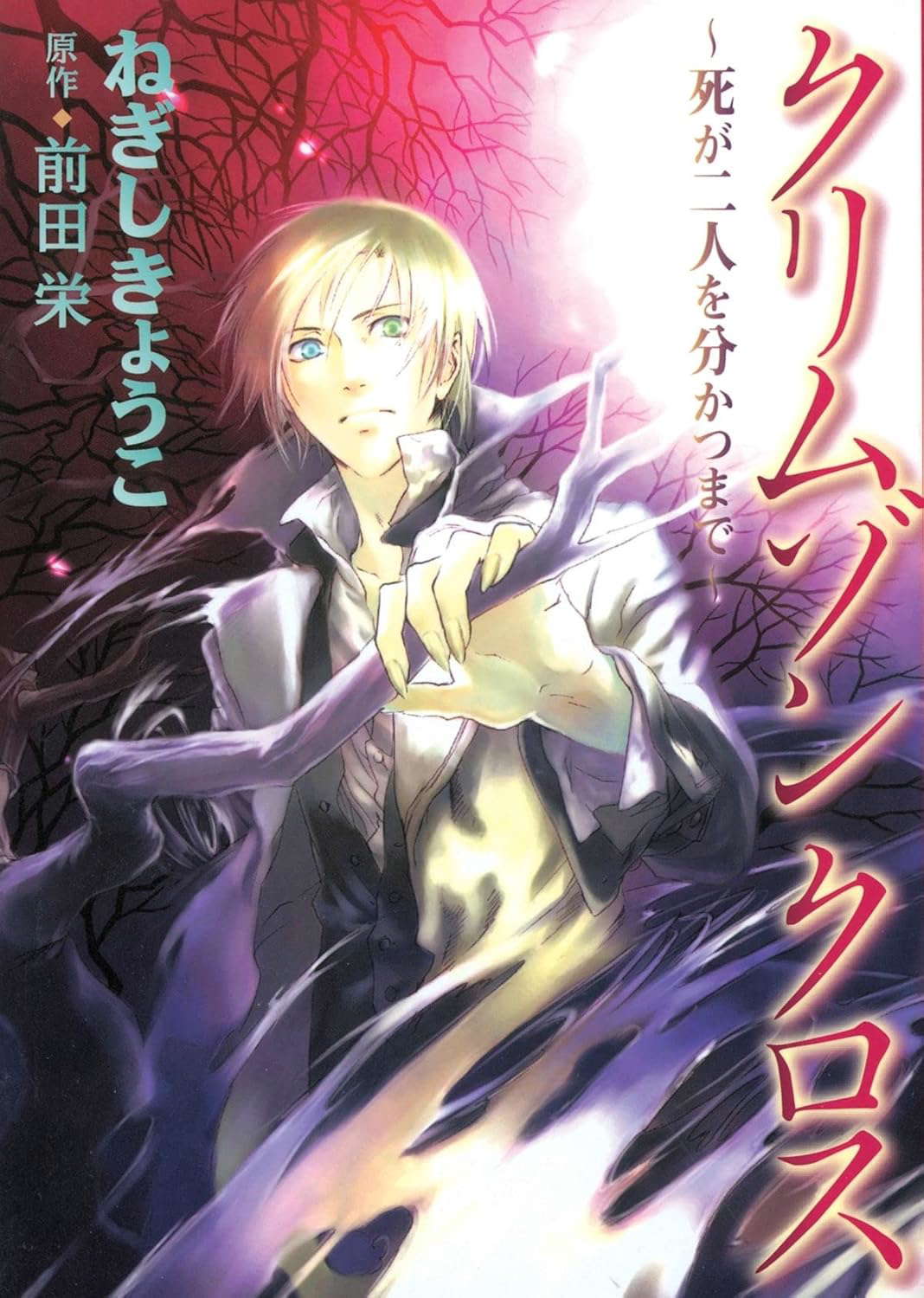 Crimson Cross poster