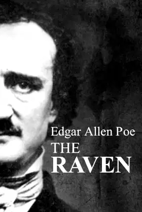 The Raven (Illustrated) poster