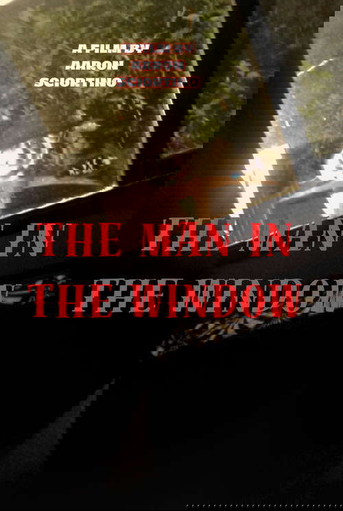 The man in the window poster