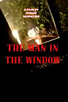 The man in the window poster