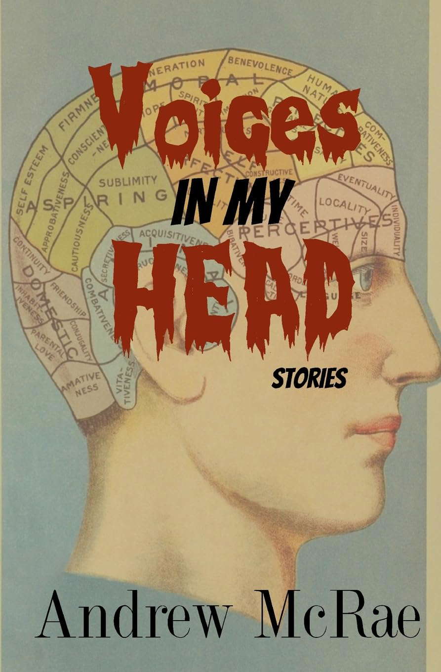 Voices In My Head: Stories poster