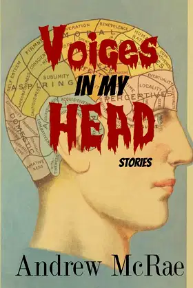Voices In My Head: Stories poster