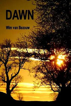 Dawn poster