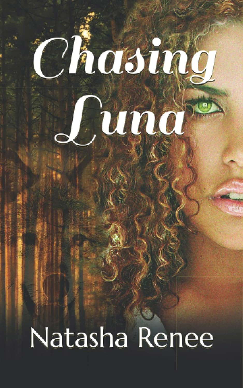 Chasing Luna poster