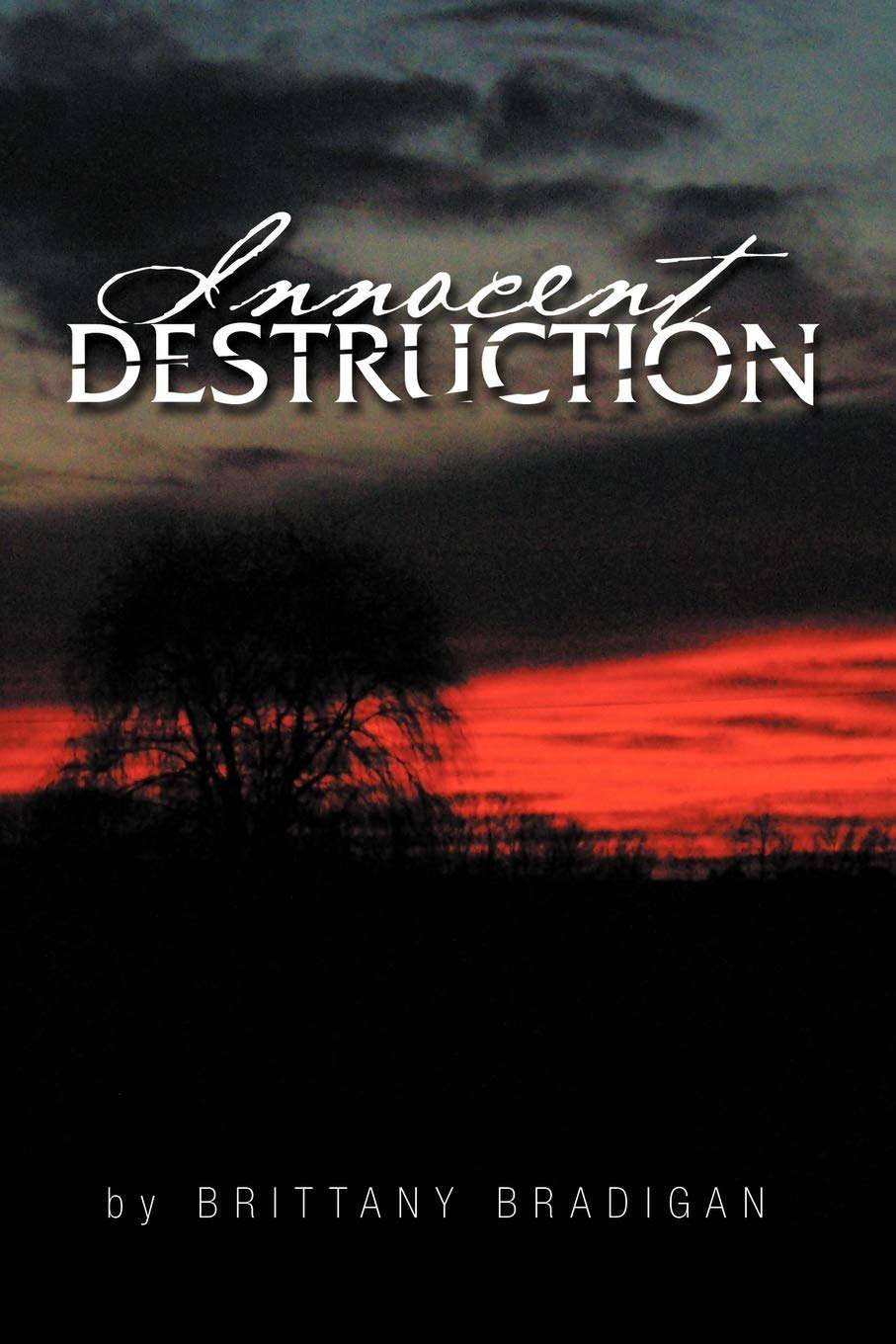 Innocent Destruction poster