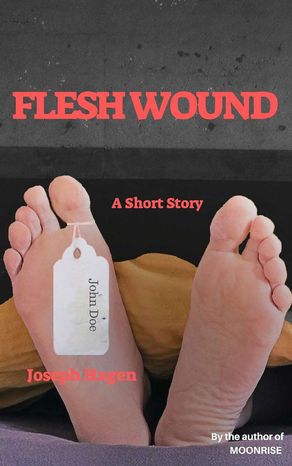 Flesh Wound: A short story poster