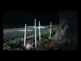 The Roost Trailer (2004) poster