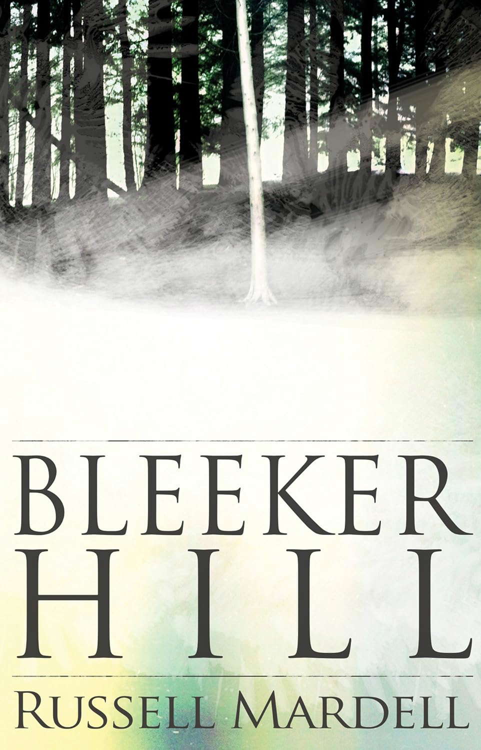 Bleeker Hill poster