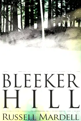 Bleeker Hill poster