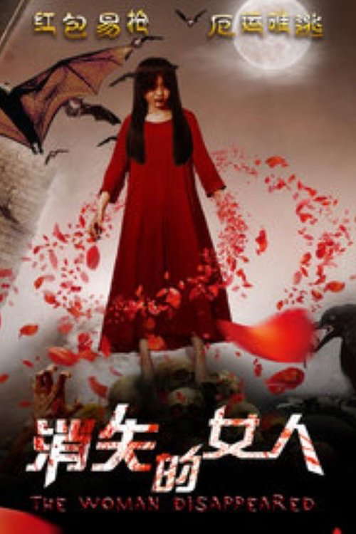 The Woman Disappeared poster
