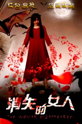The Woman Disappeared poster
