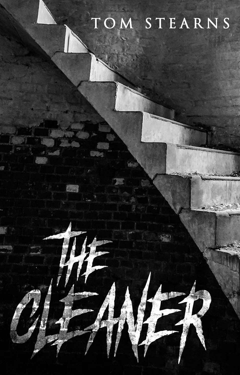 The Cleaner: A supernatural tale poster
