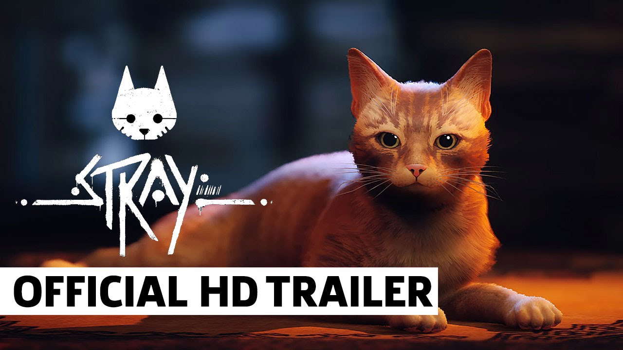 Poster for Stray