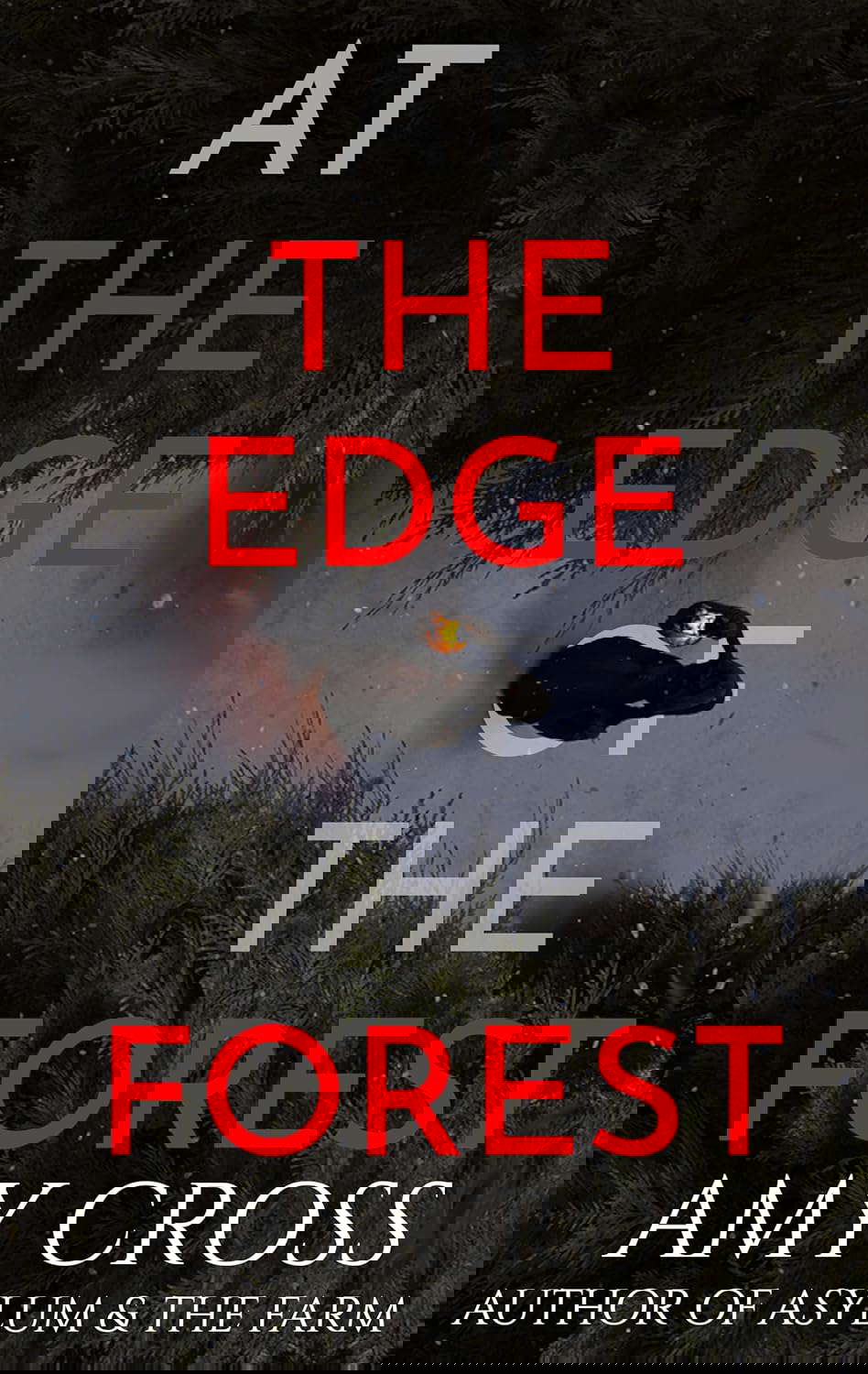 At the Edge of the Forest poster