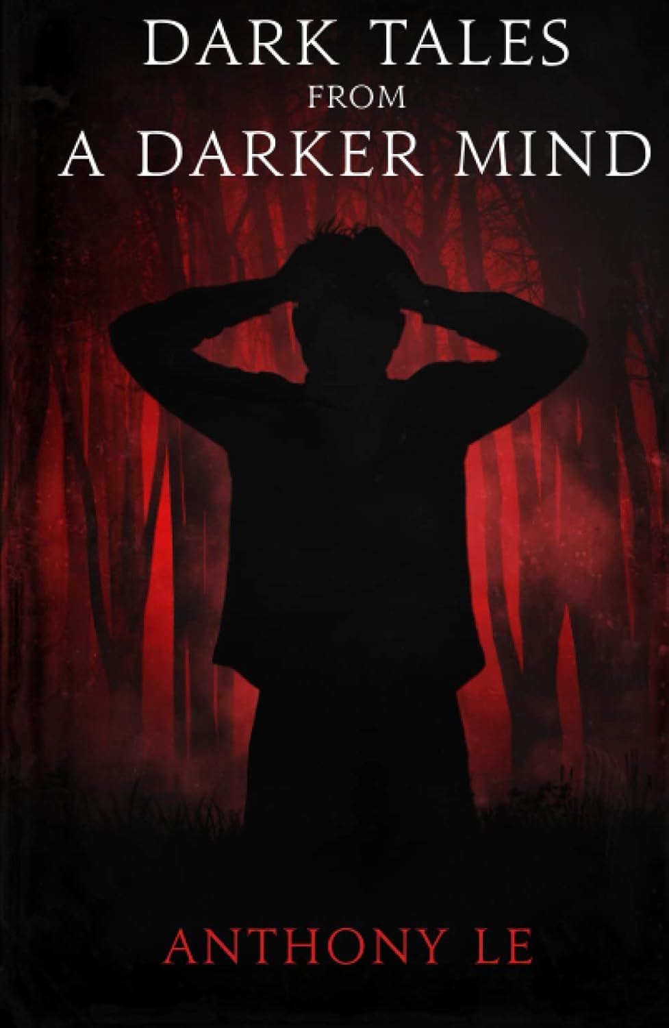Dark Tales from a Darker Mind poster