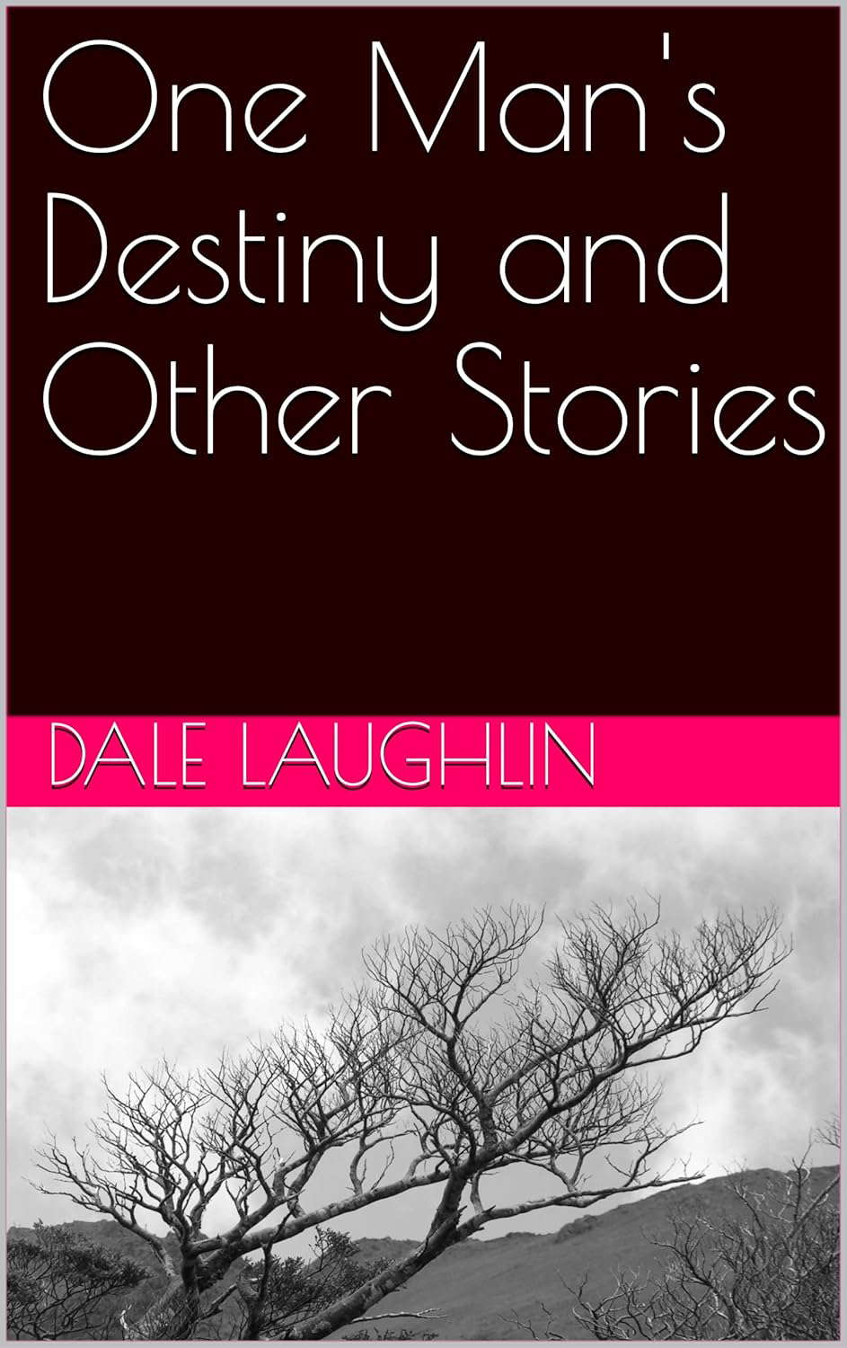 One Man's Destiny and Other Stories poster