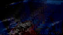 episode poster