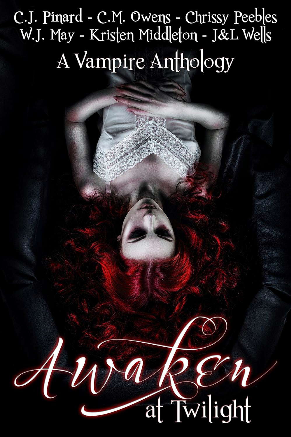 Awaken At Twilight (A Vampire Anthology) poster