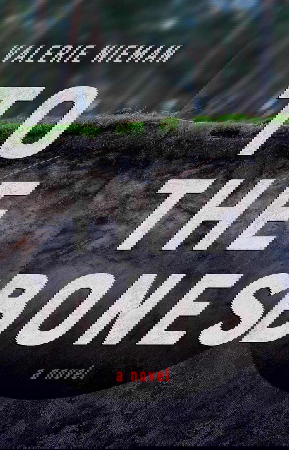 To the Bones poster