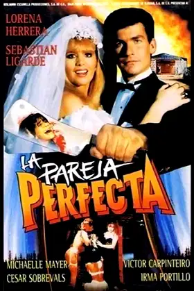 The Perfect Couple poster