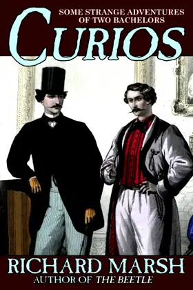 Curios: Some Strange Adventures of Two Bachelors poster