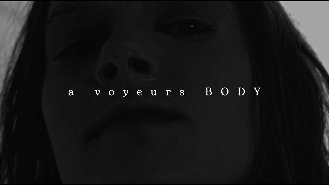 Poster for A Voyeurs Body