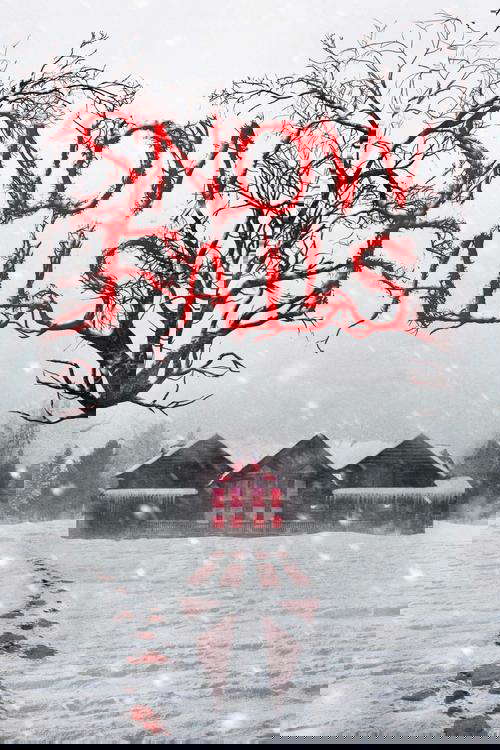 Snow Falls poster