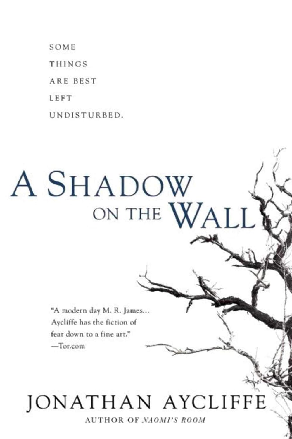 A Shadow on the Wall: A Novel poster
