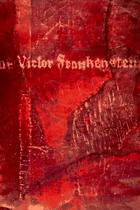 Diary of Victor Frankenstein poster