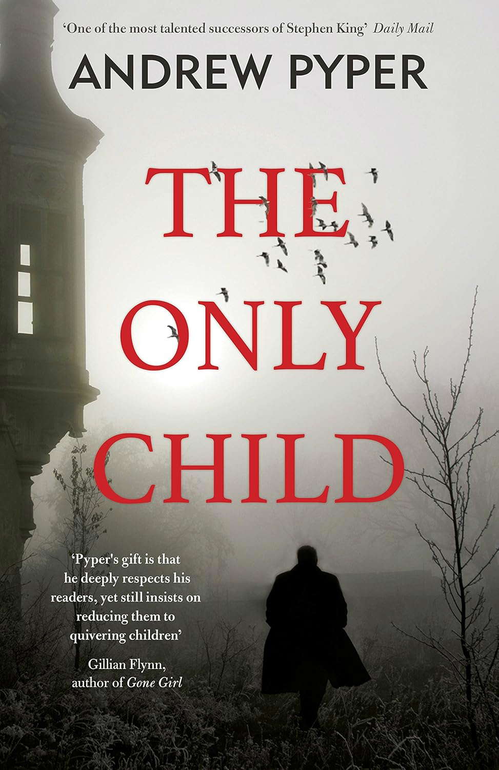 The Only Child: The terrifying thriller that will blow your mind poster