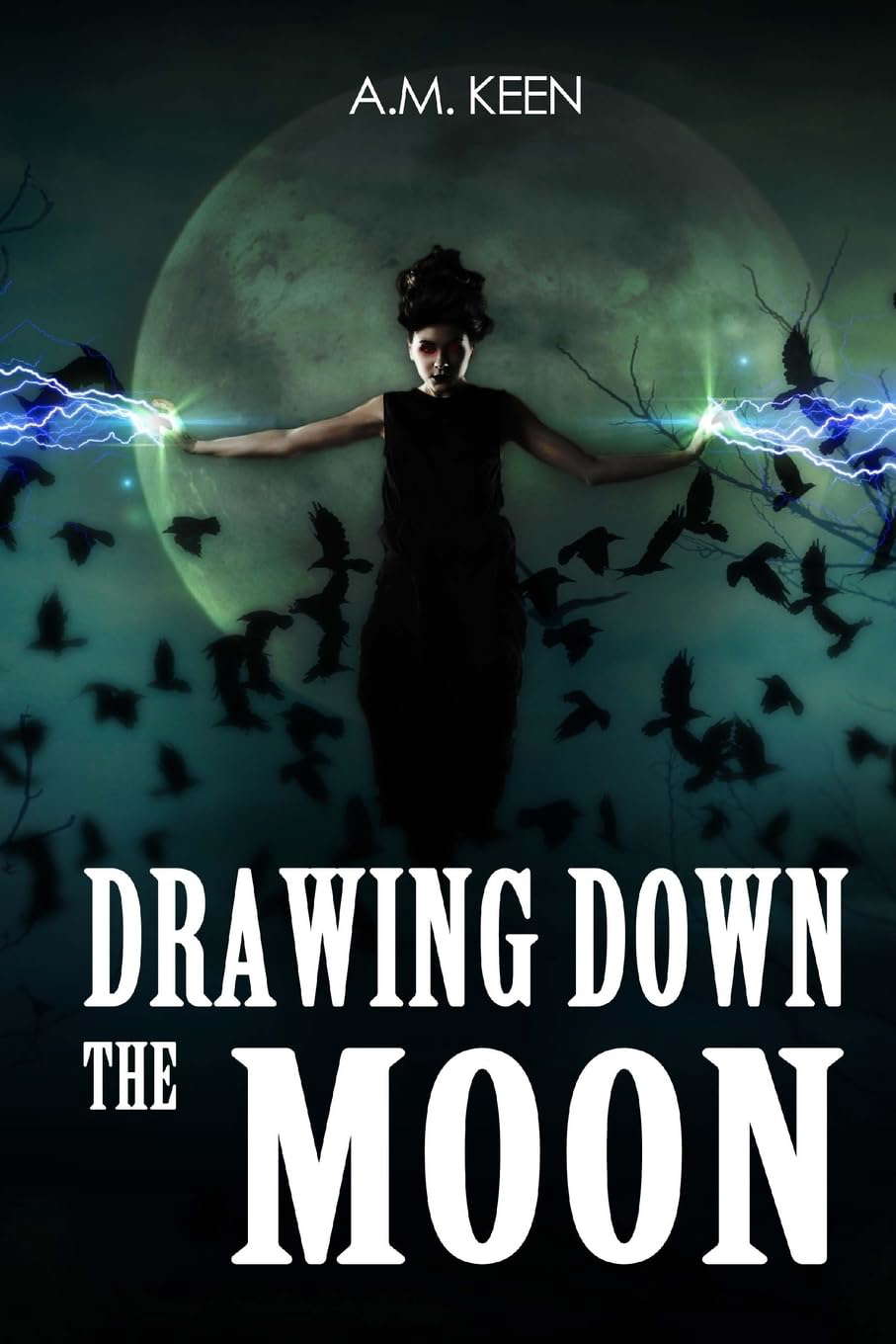 Drawing Down The Moon poster