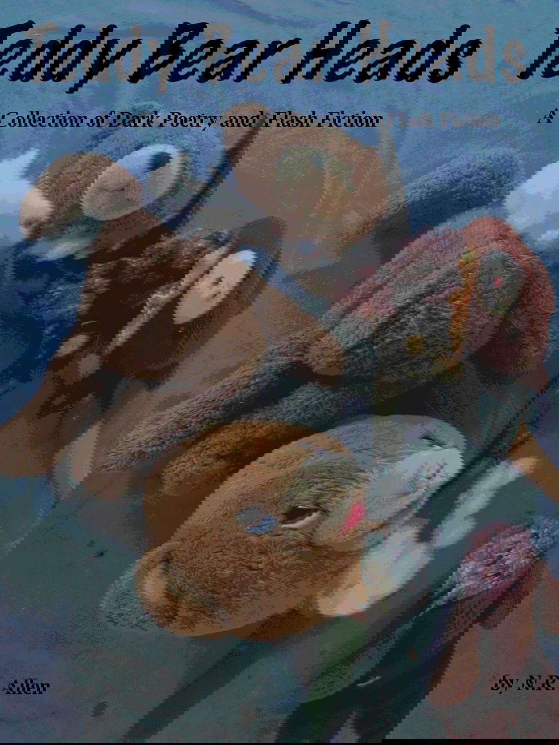 Teddy Bear Heads: A Collection of Dark Poetry and Flash Fiction poster