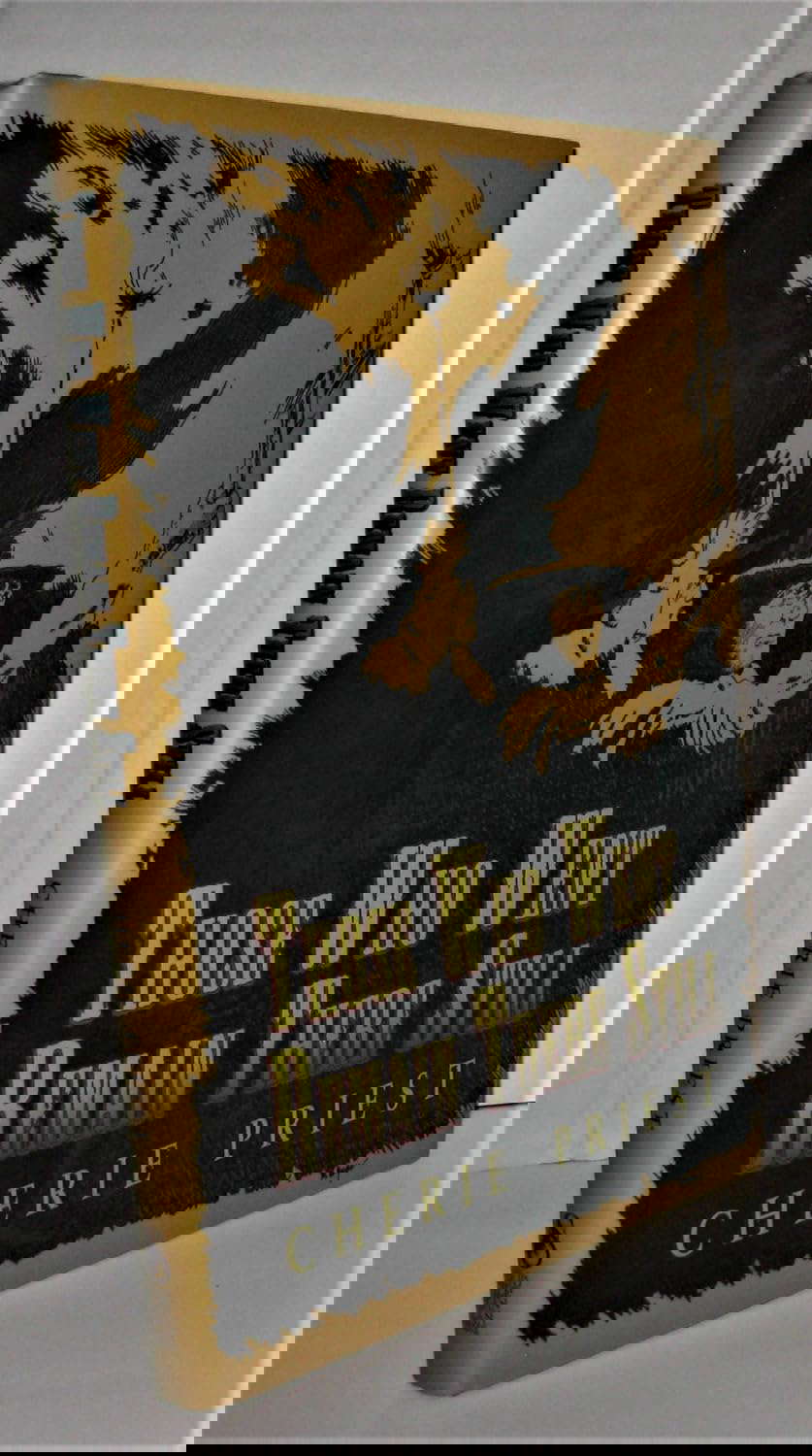 Those Who Went Remain There Still poster