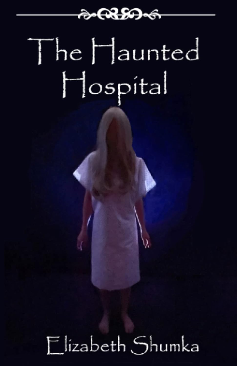 The Haunted Hospital (The Hauntings in Montana Series) poster